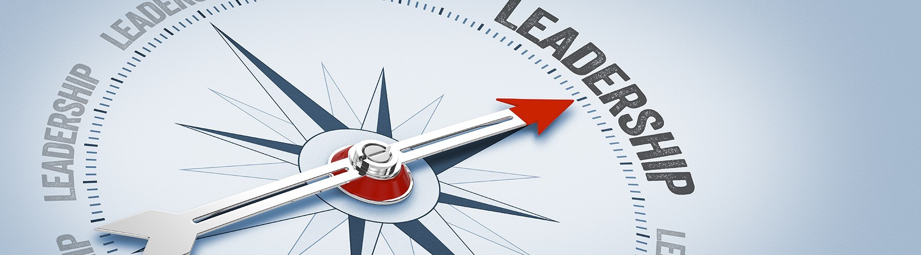 LEADERSHIP DEVELOPMENT